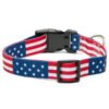 2020 Christmas Printing Nylon Pet Product American Flag Big Dog Chains Large Dog Collar Nylon Buckle Dog Collar