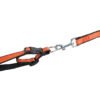 wholesale manufacturer blue orange stock custom pet dog ribbon collar and leash set