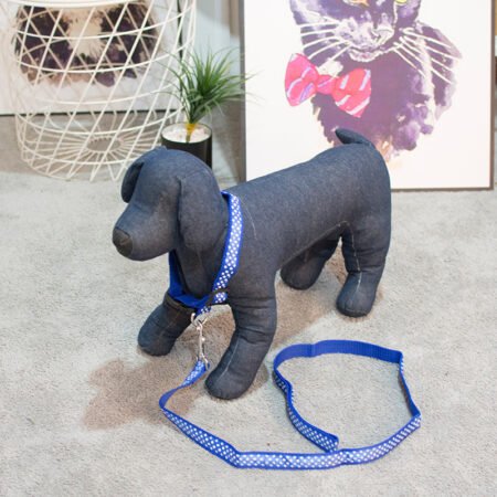 wholesale manufacturer blue orange stock custom pet dog ribbon collar and leash set