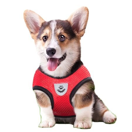Custom Amazon Hot Sale Soft Mesh Reflective Comfort Adjustable Puppy Vest Small Dog Harness