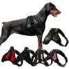 Custom Luxury Nylon OEM Soft Pet Backpack Adjustable Nylon Dog Vest Reflective No Pull Camouflage Dog Harness With Leash Set