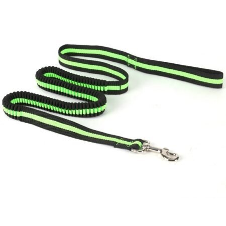 Cheapest Green Elastic Bungee Leash Dog Nylon Retractable Elastic Pet Dog Leash
